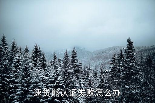 速貸熊認(rèn)證失敗怎么辦