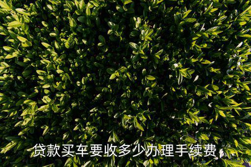 貸款買(mǎi)車(chē)要收多少辦理手續(xù)費(fèi)