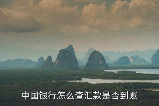 中國銀行怎么查匯款，中國銀行怎么在網(wǎng)上查詢支付方