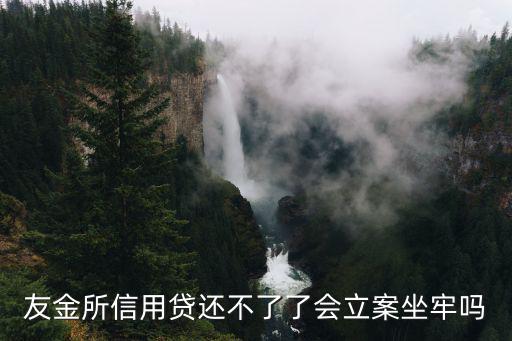 友金所還不起會(huì)怎么樣，在風(fēng)險(xiǎn)控制和本金保證方面友金所怎么樣