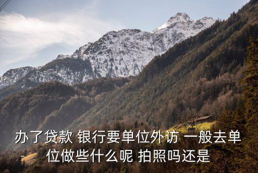 辦了貸款 銀行要單位外訪(fǎng) 一般去單位做些什么呢 拍照嗎還是
