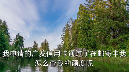 我申請的廣發(fā)信用卡通過了在郵寄中我怎么查我的額度呢