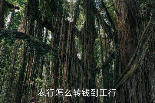 農(nóng)行怎么轉(zhuǎn)錢到工行