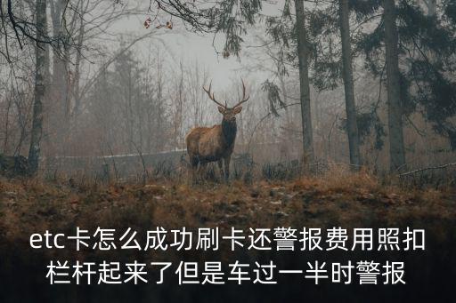etc卡怎么成功刷卡還警報(bào)費(fèi)用照扣欄桿起來(lái)了但是車過(guò)一半時(shí)警報(bào)