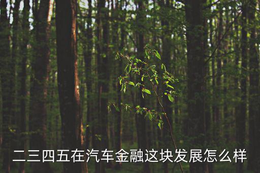 二三四五在汽車金融這塊發(fā)展怎么樣