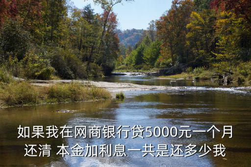 如果我在網(wǎng)商銀行貸5000元一個月還清 本金加利息一共是還多少我