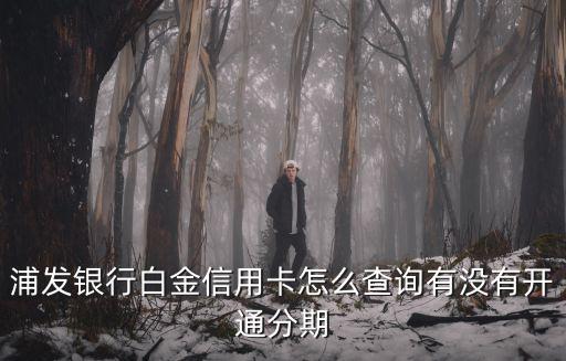 浦發(fā)銀行白金信用卡怎么查詢有沒有開通分期