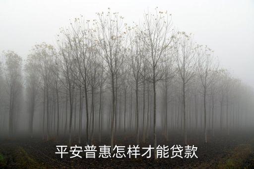 平安普惠怎樣才能貸款
