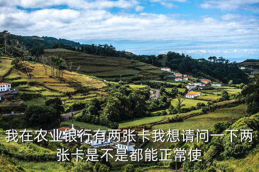 農(nóng)行etc怎么有兩張卡，農(nóng)行可以有2張金卡