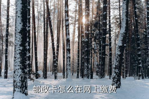 郵政卡怎么在網(wǎng)上繳費(fèi)