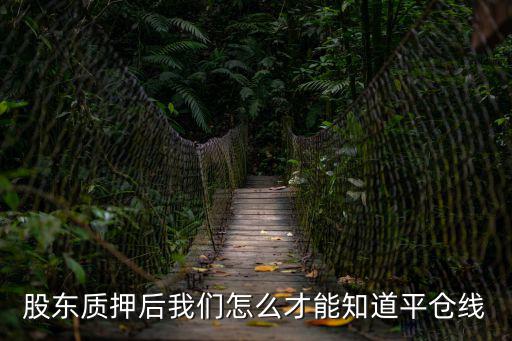 股東質(zhì)押后我們怎么才能知道平倉線