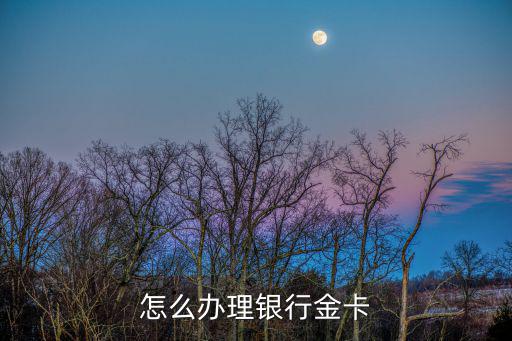 各個銀行金卡怎么辦理，銀行金卡怎么辦理