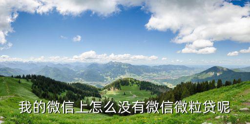 微信中怎么獲得微粒貸，怎么能進(jìn)入微粒貸