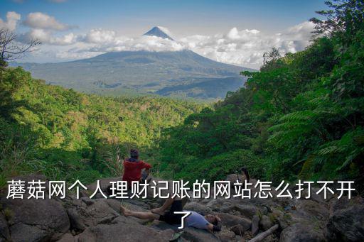 蘑菇網(wǎng)個人理財記賬的網(wǎng)站怎么打不開了