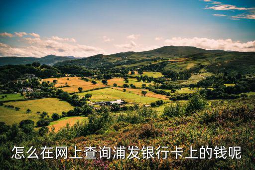 怎么在網(wǎng)上查詢(xún)浦發(fā)銀行卡上的錢(qián)呢
