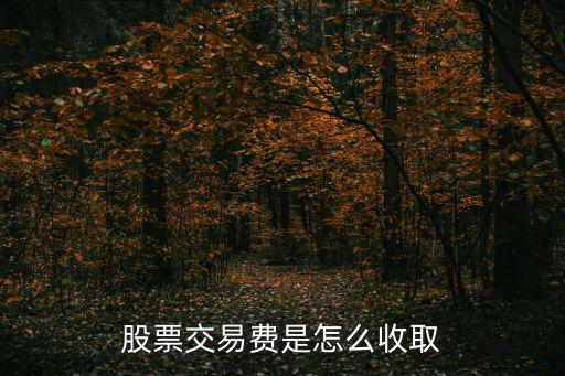 股票交易費是怎么收取