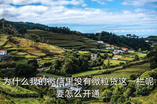 為什么我的微信里沒有微粒貸這一欄呢要怎么開通