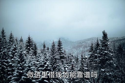 微信里借錢功能靠譜嗎