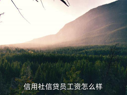 信貸中介待遇怎么樣，信用社信貸員工資怎么樣