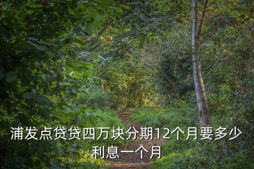 浦發(fā)點(diǎn)貸貸四萬(wàn)塊分期12個(gè)月要多少利息一個(gè)月