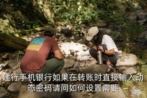建行手機銀行如果在轉(zhuǎn)賬時直接輸入動態(tài)密碼請問如何設(shè)置需要