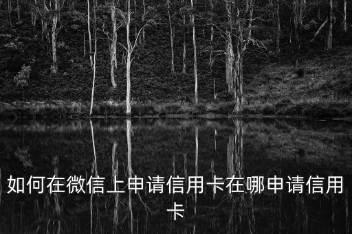 淘氣值怎么申請信用卡，wweccbcom申請辦理信用卡怎么申請