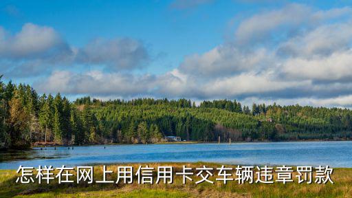 怎樣在網(wǎng)上用信用卡交車(chē)輛違章罰款