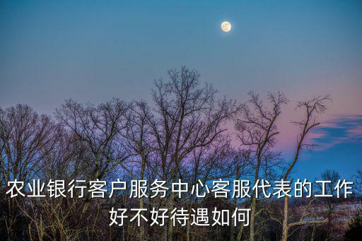 農(nóng)業(yè)銀行客戶服務(wù)中心客服代表的工作好不好待遇如何