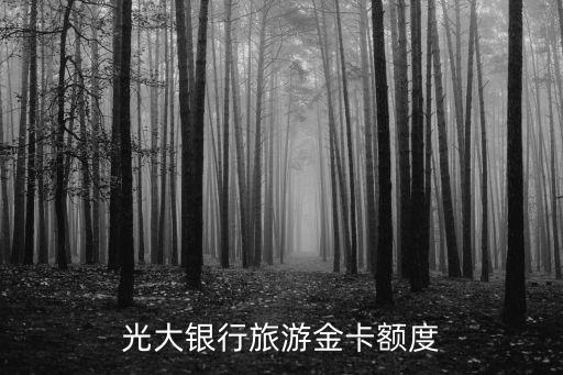 光大旅游卡怎么樣，光大銀行有旅游主題的信用卡嗎