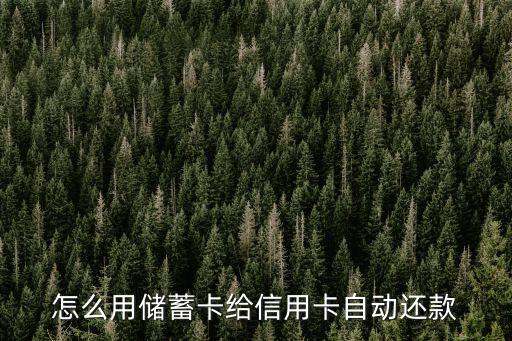怎么設置自動還信用卡還款日，農行信用卡在手機銀行里怎么設置自動還款