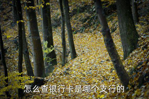 怎么查銀行卡是哪個支行的