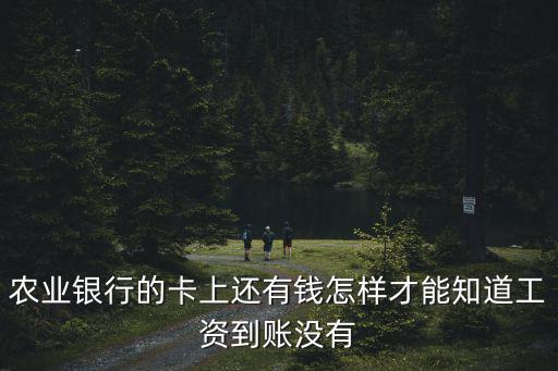 農(nóng)業(yè)銀行的卡上還有錢怎樣才能知道工資到賬沒有