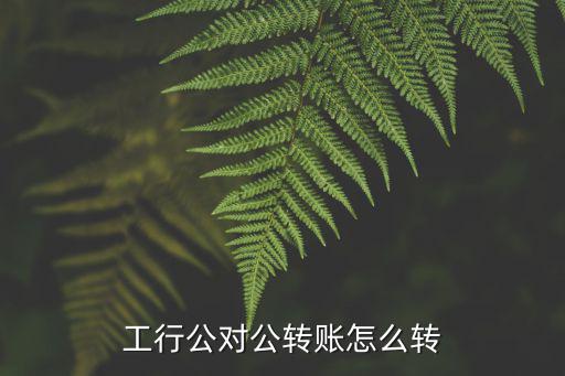 工行公對公轉(zhuǎn)賬怎么轉(zhuǎn)