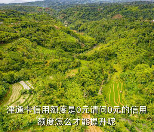 津通卡信用額度是0元請(qǐng)問(wèn)0元的信用額度怎么才能提升呢