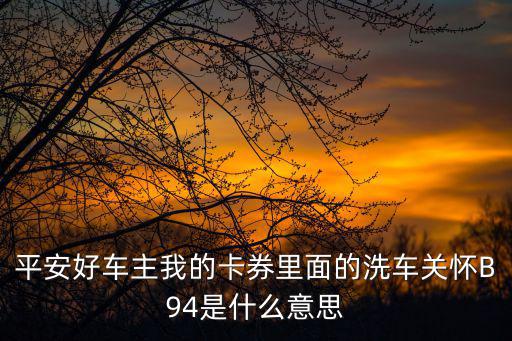 平安好車主我的卡券里面的洗車關(guān)懷B94是什么意思