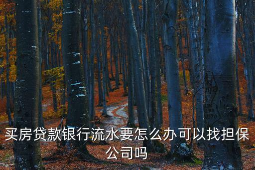 買房貸款銀行流水要怎么辦可以找擔(dān)保公司嗎