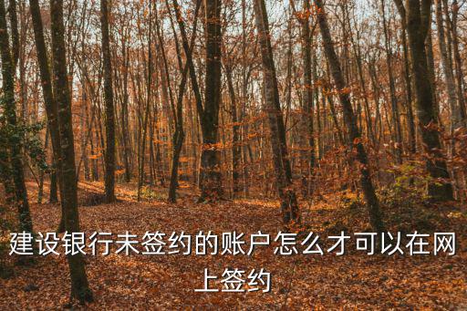建設(shè)銀行未簽約的賬戶怎么才可以在網(wǎng)上簽約