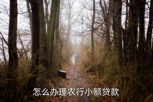 怎么辦理農(nóng)行小額貸款
