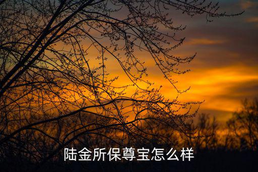 陸金所保尊寶怎么樣