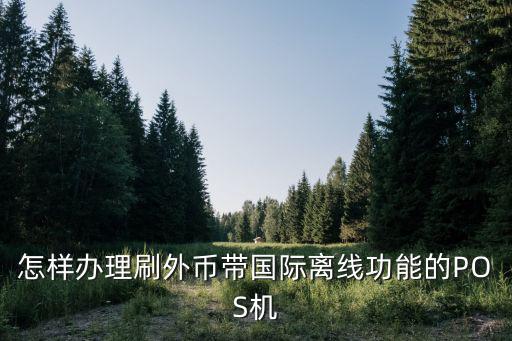 怎樣辦理刷外幣帶國際離線功能的POS機