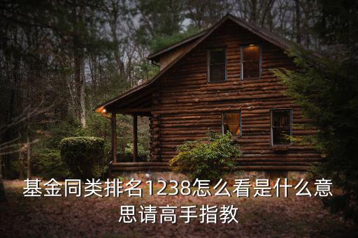 基金同類排名1238怎么看是什么意思請(qǐng)高手指教