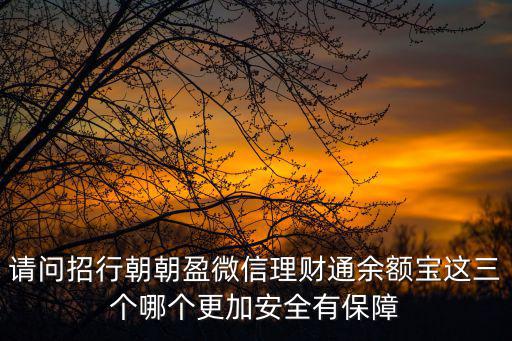 請(qǐng)問招行朝朝盈微信理財(cái)通余額寶這三個(gè)哪個(gè)更加安全有保障