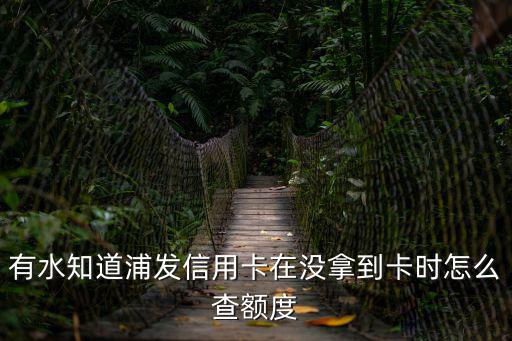 有水知道浦發(fā)信用卡在沒(méi)拿到卡時(shí)怎么查額度