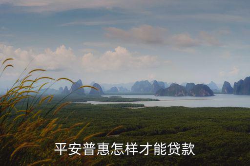平安普惠貸款怎么貸，平安普惠怎樣才能貸款