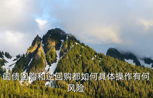廣發(fā)證券怎么玩逆回購(gòu)，如何進(jìn)入國(guó)債逆回購(gòu)交易界面