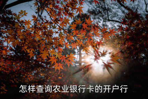 怎樣查詢農(nóng)業(yè)銀行卡的開(kāi)戶行