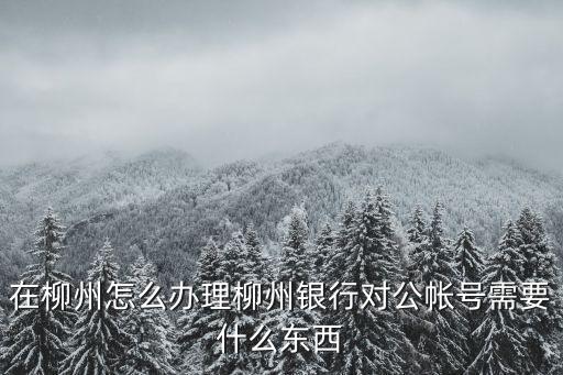 在柳州怎么辦理柳州銀行對公帳號需要什么東西