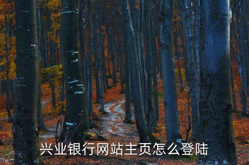 興業(yè)銀行網(wǎng)站主頁(yè)怎么登陸