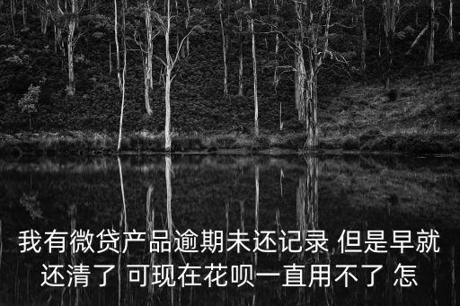我有微貸產(chǎn)品逾期未還記錄 但是早就還清了 可現(xiàn)在花唄一直用不了 怎