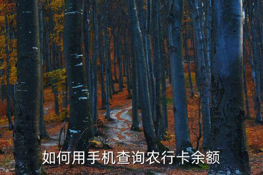 手機(jī)怎么查農(nóng)商卡余額，怎么才能在手機(jī)上查余額農(nóng)商銀行